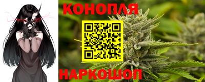 ГАЛЛЮЦИНОГЕННЫЕ ГРИБЫ Свободный