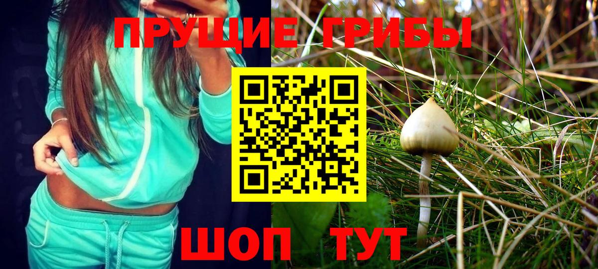 Галлюциногенные грибы Psilocybe  Вход с VPN  закладка  Галлюциногенные грибы Cubensis  Сергиев Посад 